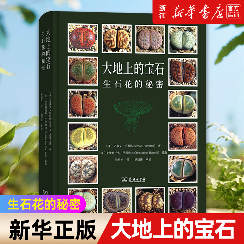 【新华书店旗舰店官网】大地上的宝石:生石花的秘密 美 史蒂文·哈默 著 克里斯托弗·巴恩希尔 摄影  正版书籍包邮