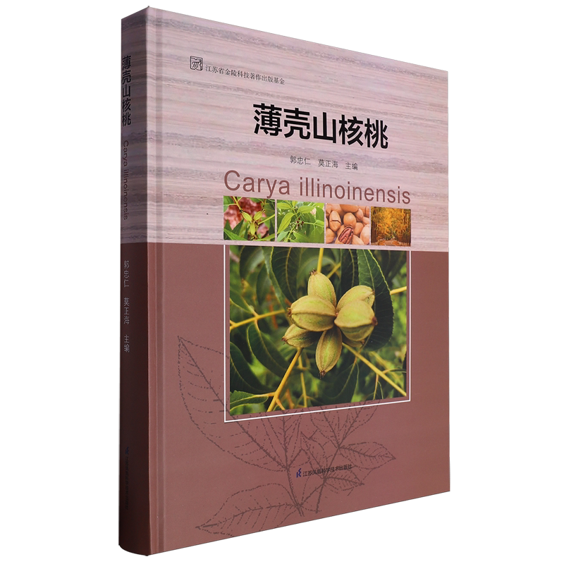 薄壳山核桃