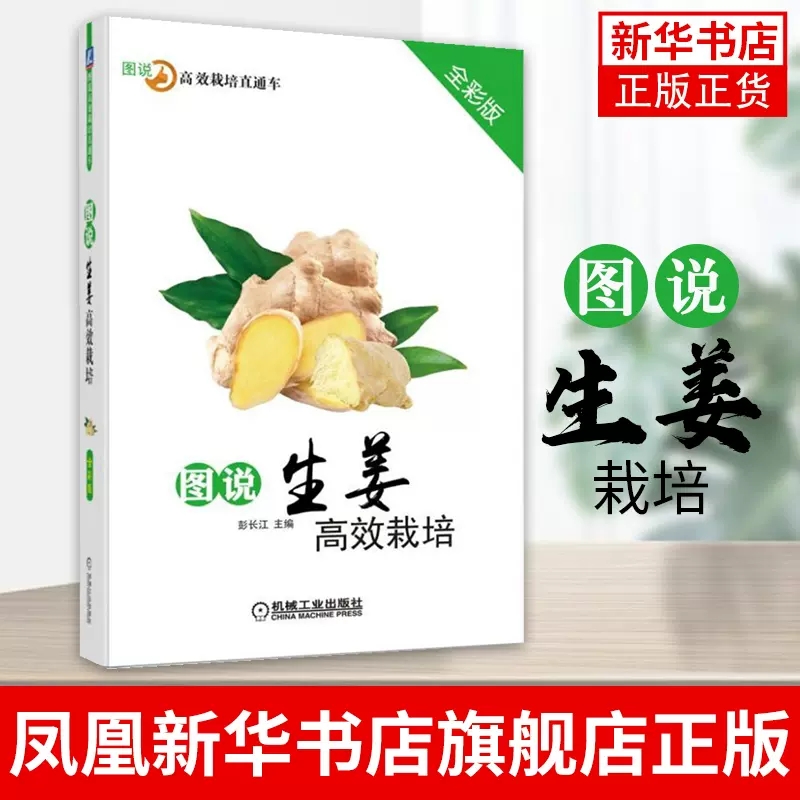 图说生姜高效栽培（全彩版）