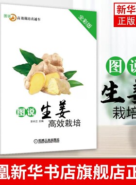 图说生姜高效栽培（全彩版）生姜栽培种植技术大全书籍 高产 生姜种植书 病虫害防治技术 科学育种繁殖农作物