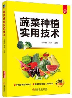 蔬菜种植实用技术 刘中良 提高蔬菜种植效益 番茄甜瓜西瓜玉米白菜蔬菜水果种植栽培教程 机械工业出版社