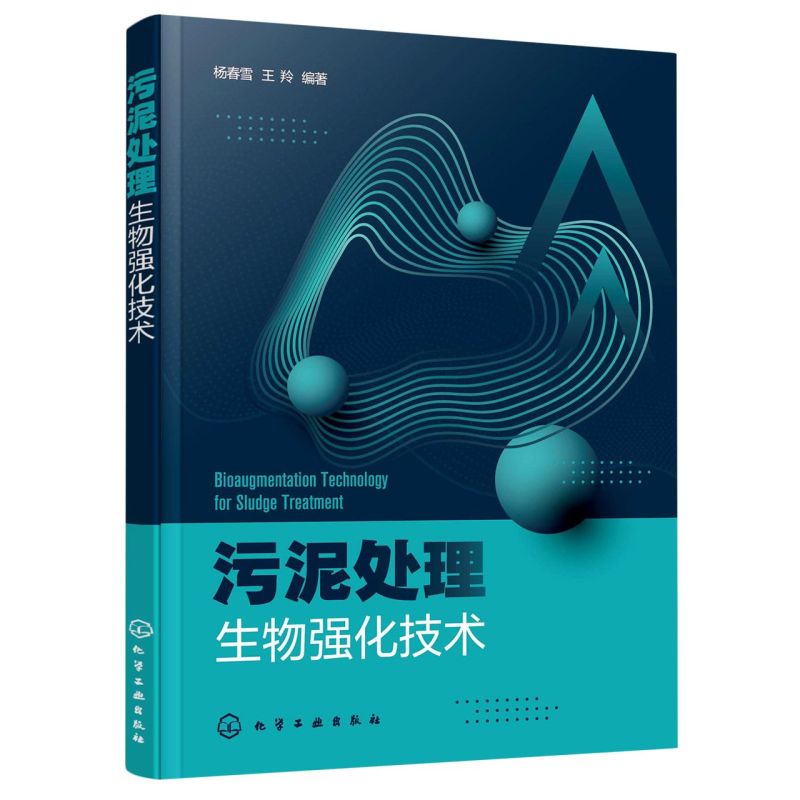 污泥处理生物强化技术