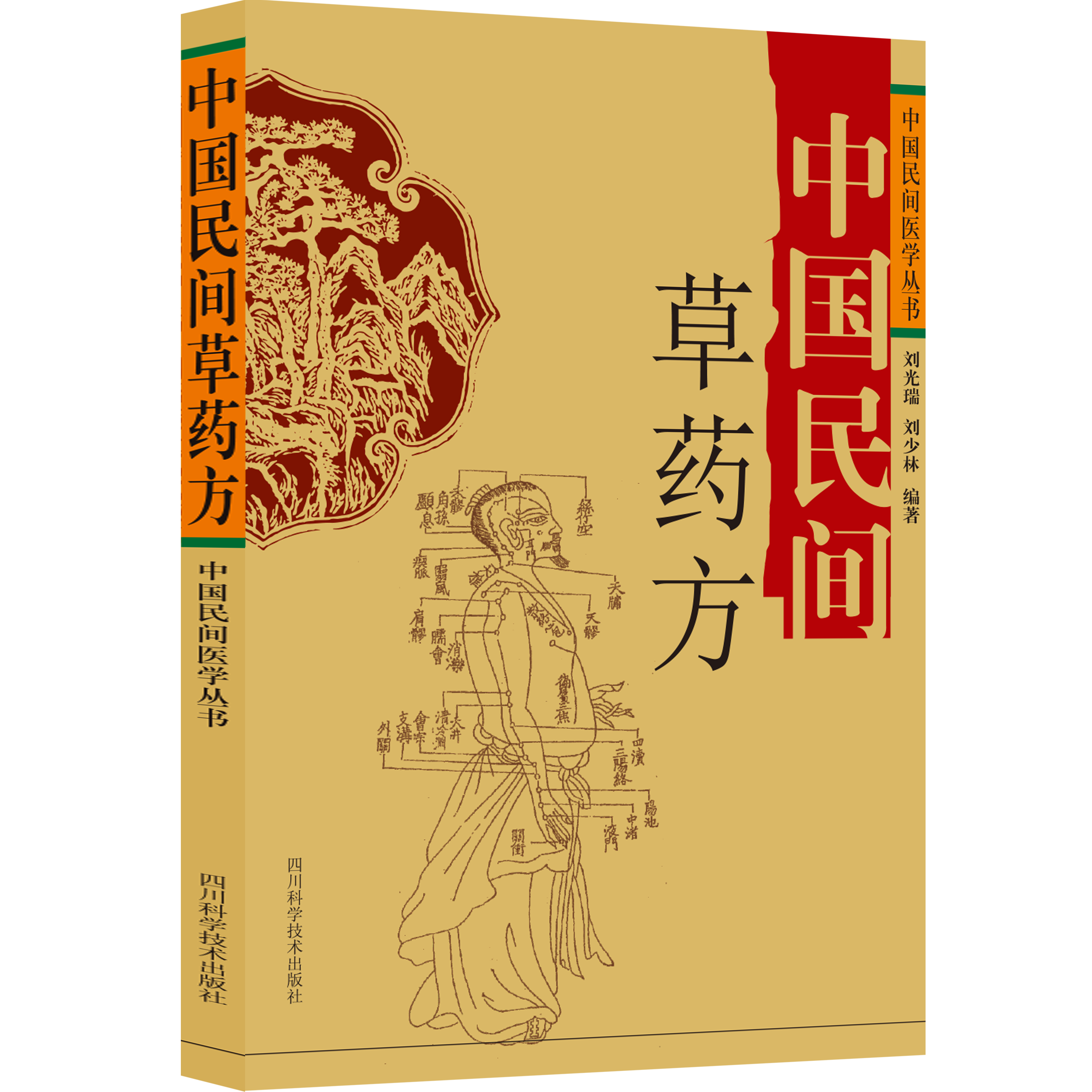 中国民间草药方常见内科病症草药方治病手法常见外科儿科五官科病症草药方治大病3000首草药方药物组成中国民间医学丛中医养生书籍