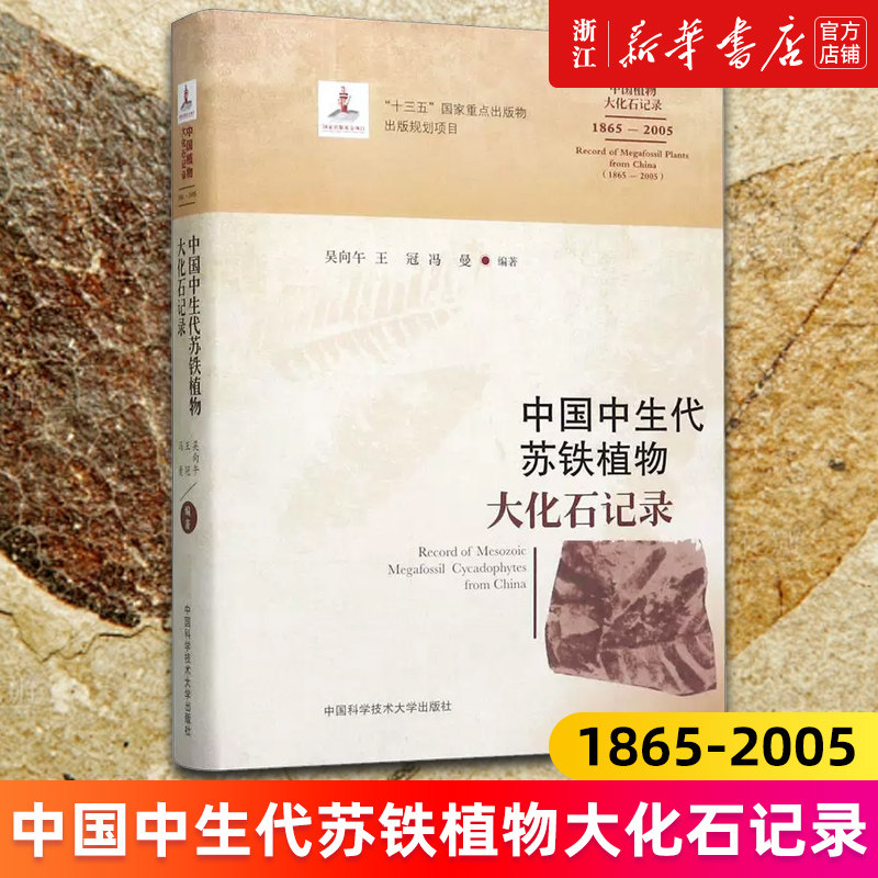 中国中生代苏铁植物大化石记录