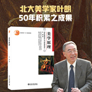 审美活动 社 美学基本原理基础知识教科书 北京大学出版 分析 美感 什么是美学 美学读物 艺术美科学美审美范畴 叶朗 美学原理