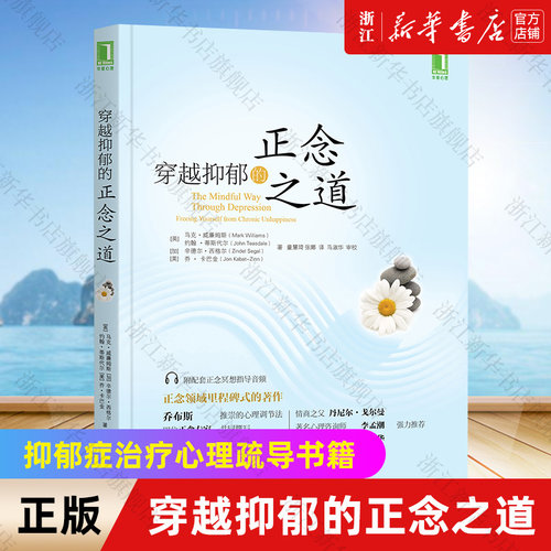 自我疗愈心理自助机械工业出版社