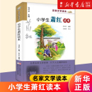 名家文学读本经典 儿童文学故事书籍 教辅教材课外阅读物图书正版 中小学生通用语文 新华书店旗舰店官网 小学生萧红读本 张祖庆