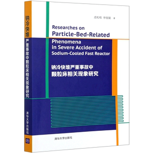 钠冷快堆严重事故中颗粒床相关现象研究