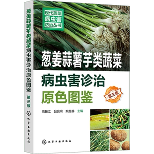 新型生物菌剂绿色防控 现代蔬菜病虫害防治丛书 蔬菜病虫害诊治畅销书再版 第三版 虫害防治 葱姜蒜薯芋类蔬菜病虫害诊治原色图鉴