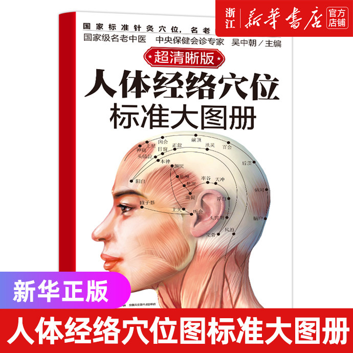 正版 人体经络穴位标准大图册 超清晰 人体经络穴位图解书人体穴位图解大全 中医按摩经络穴位书籍 经络穴位按摩大全养生书正版