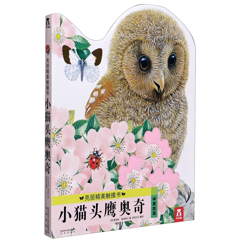 小猫头鹰奥奇亮丽精美触摸书