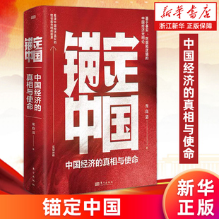 【新华书店旗舰店】锚定中国 中国经济的真相与使命 龙白滔 看清中国经济现状与前景 消费信心不足宏观经济发展机遇 正版书籍