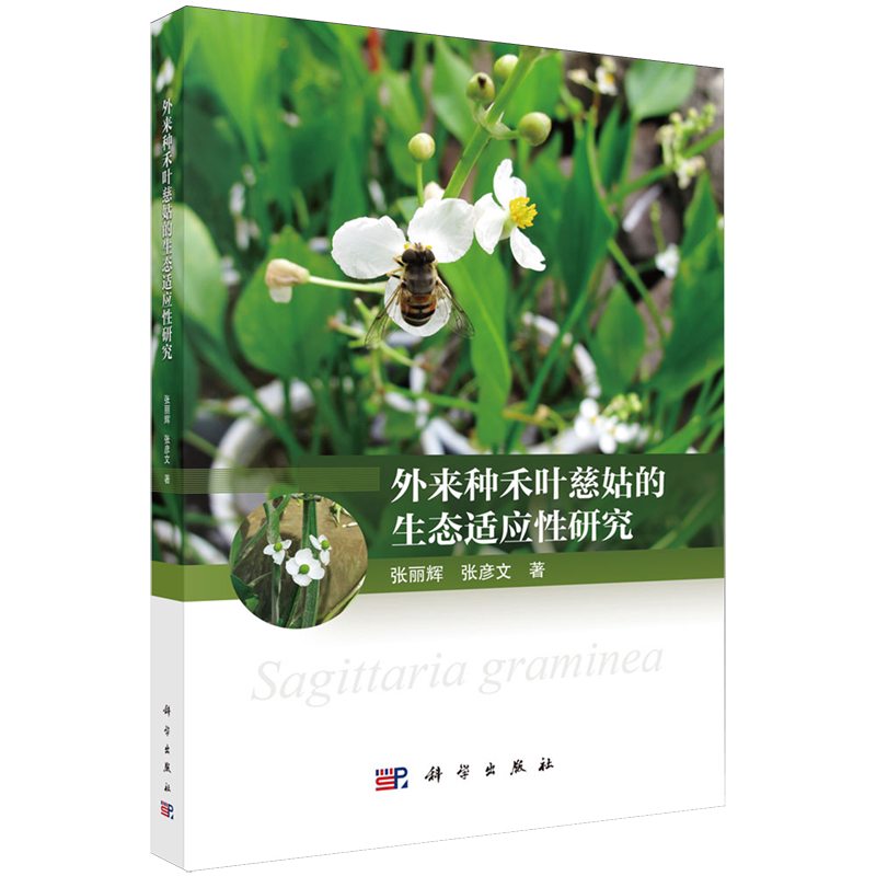 外来种禾叶慈姑的生态适应性研究