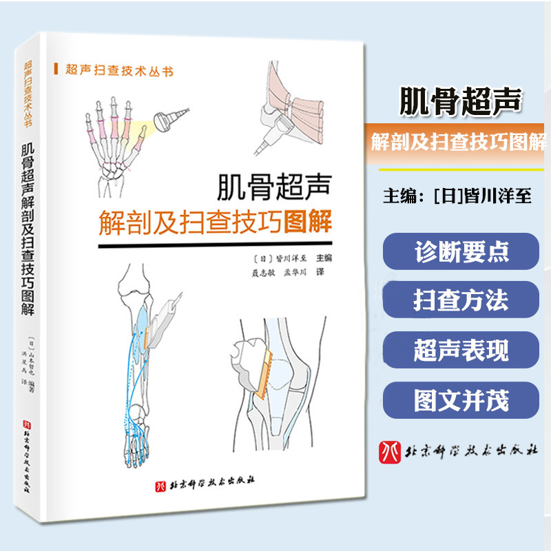 肌骨超声解剖及扫查技巧图解 诊断学医学影像图谱人体断层彩超书籍正常值测量备忘录技术入门b超血管肌骨心超笔记腹部精细讲解解剖