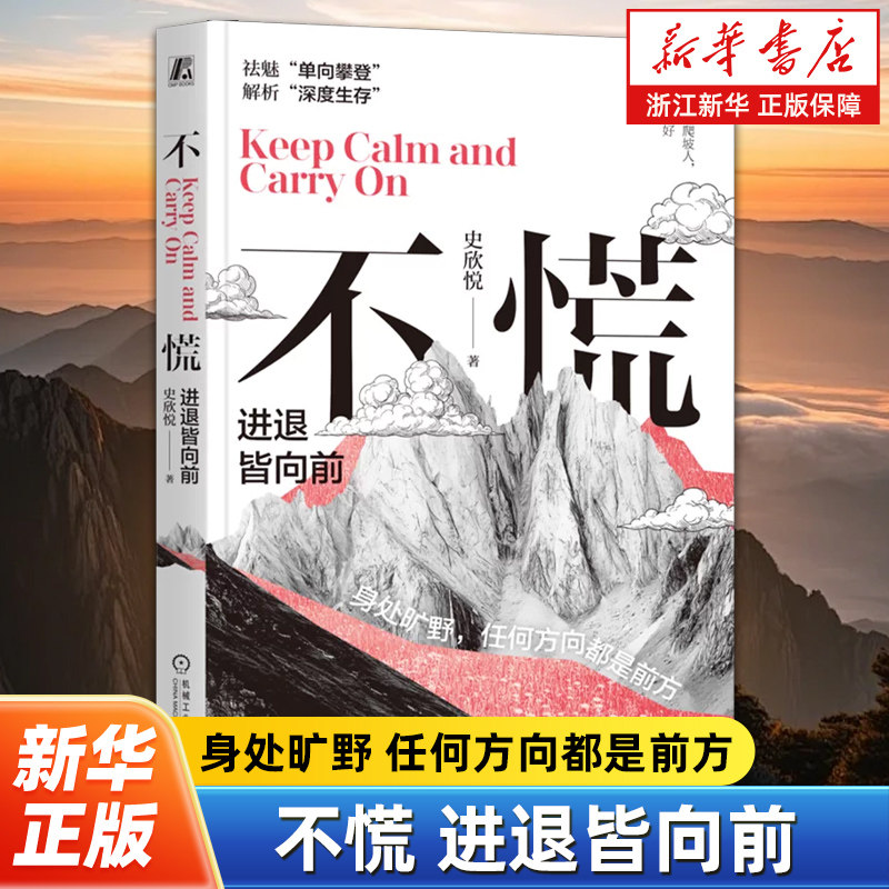 不慌:进退皆向前 迷茫 成长 史欣悦 低谷 工作 财务独立 愿景 朋友圈 企业 员工 原则 安居平五路 改变 机械工业出版社图片