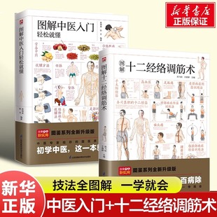 图解中医入门轻松就懂+图解十二经络调筋术套装 穴位按摩 艾灸 刮痧拔罐  筋疏通法全图解 中医自学入门 中医养生保健书籍