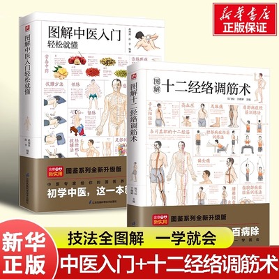 图解中医入门轻松就懂+图解十二经络调筋术套装 穴位按摩 艾灸 刮痧拔罐  筋疏通法全图解 中医自学入门 中医养生保健书籍