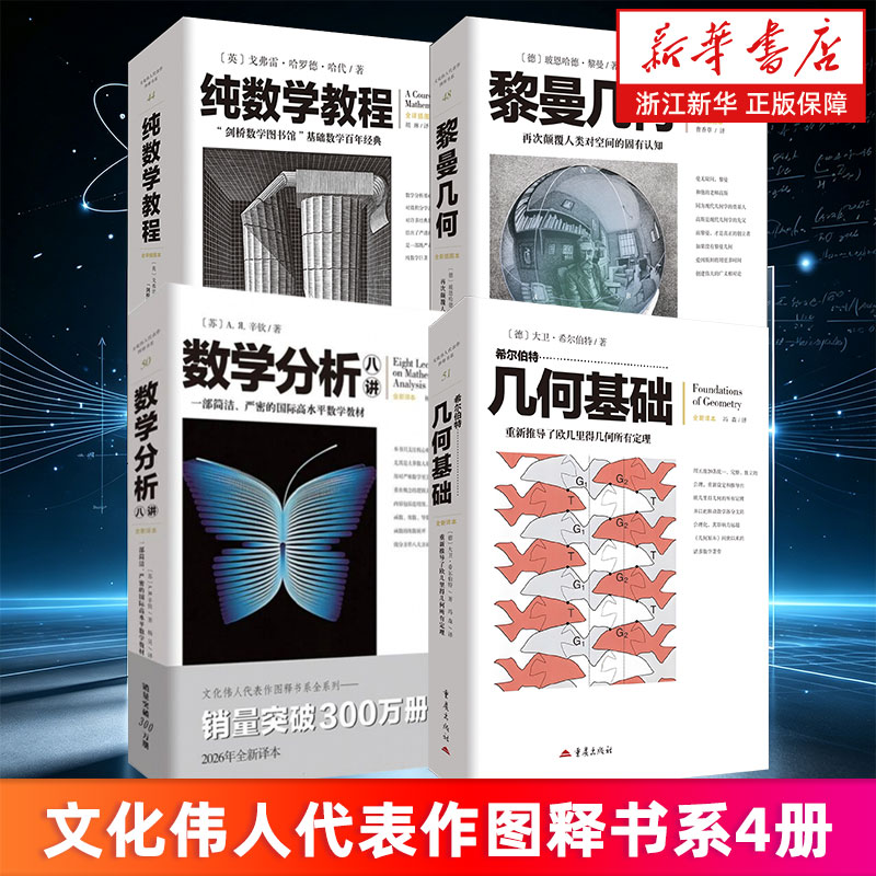 文化伟人代表作图释书系4册 希尔伯特几何基础 数学分析八讲 黎曼几何 纯数学教程 新华书店旗舰店 正版书籍