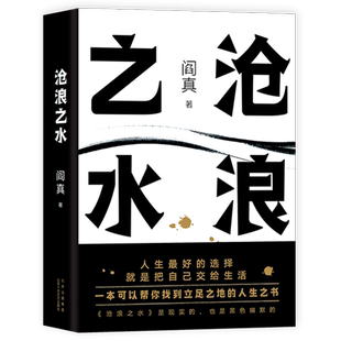 【新华书店旗舰店官网】阎真作品 沧浪之水 长篇小说官场小说职场小说正版畅销长销经典考公国考人民的名义岁月国画 如何是好