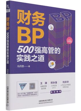 财务BP:500强高管的实践之道