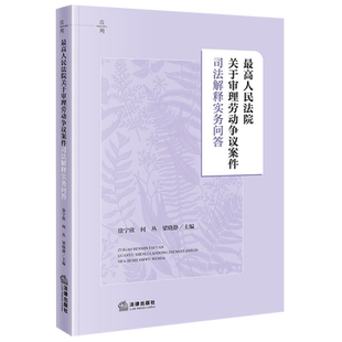 最高人民法院关于审理劳动争议案件司法解释实务问答9787524410089徐宁欣何丛梁晓静劳动争议劳动法法律解释中国法律实务