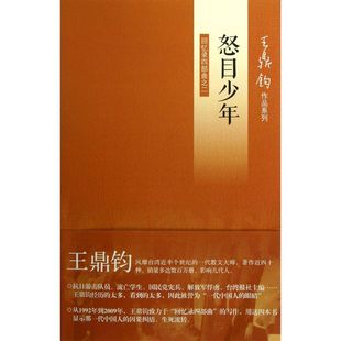 怒目少年(回忆录四部曲之二)/王鼎钧作品系列