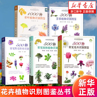 【任选】500种常见花卉识别图鉴 园林植物识别图鉴 野花野草识别图鉴 300种芳香植物识别图鉴 1000种彩叶植物识别图鉴 彩图典藏版