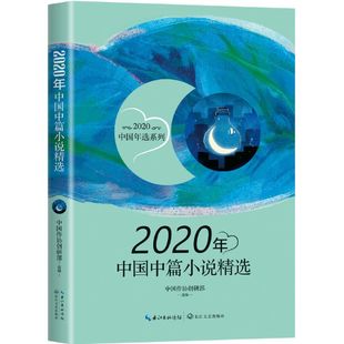 2020年中国中篇小说精选/2020中国年选系列