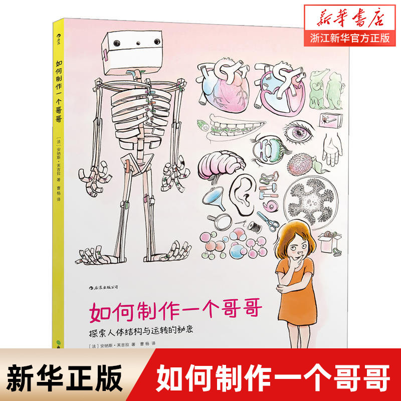 如何制作一个哥哥 人体结构书儿童3-6-8-12岁知识百科书籍 科学益智科普绘本少儿读物人体运转的秘密奥秘我们的身体大开本科普绘本属于什么档次？