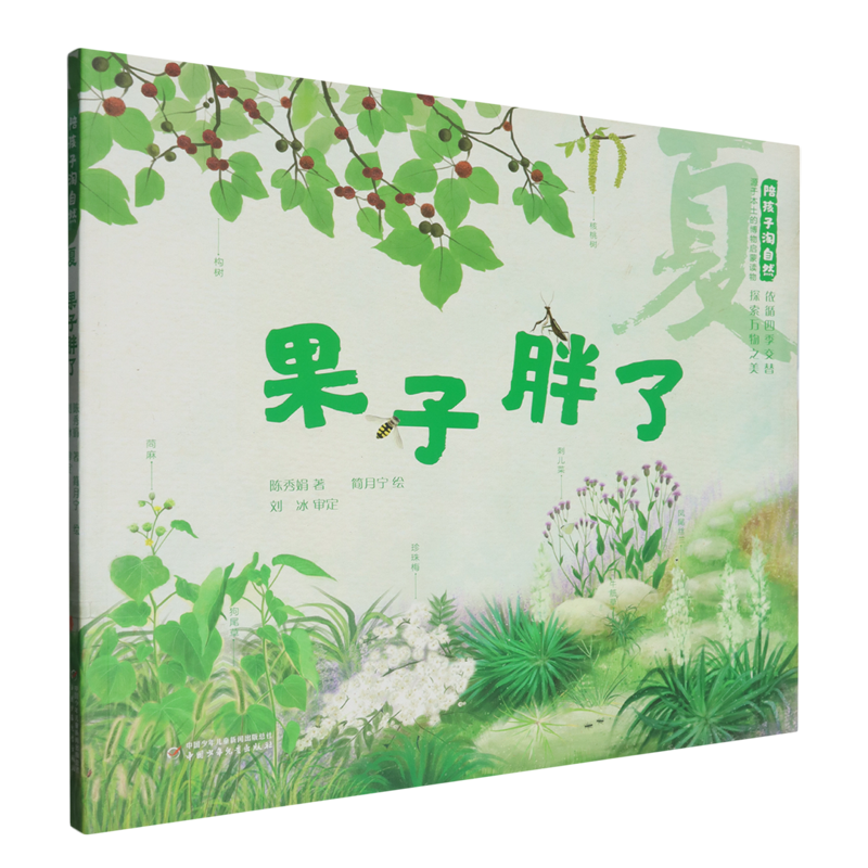 夏:果子胖了