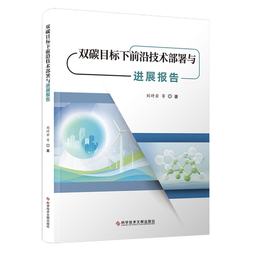 双碳目标下前沿技术部署与进展报告