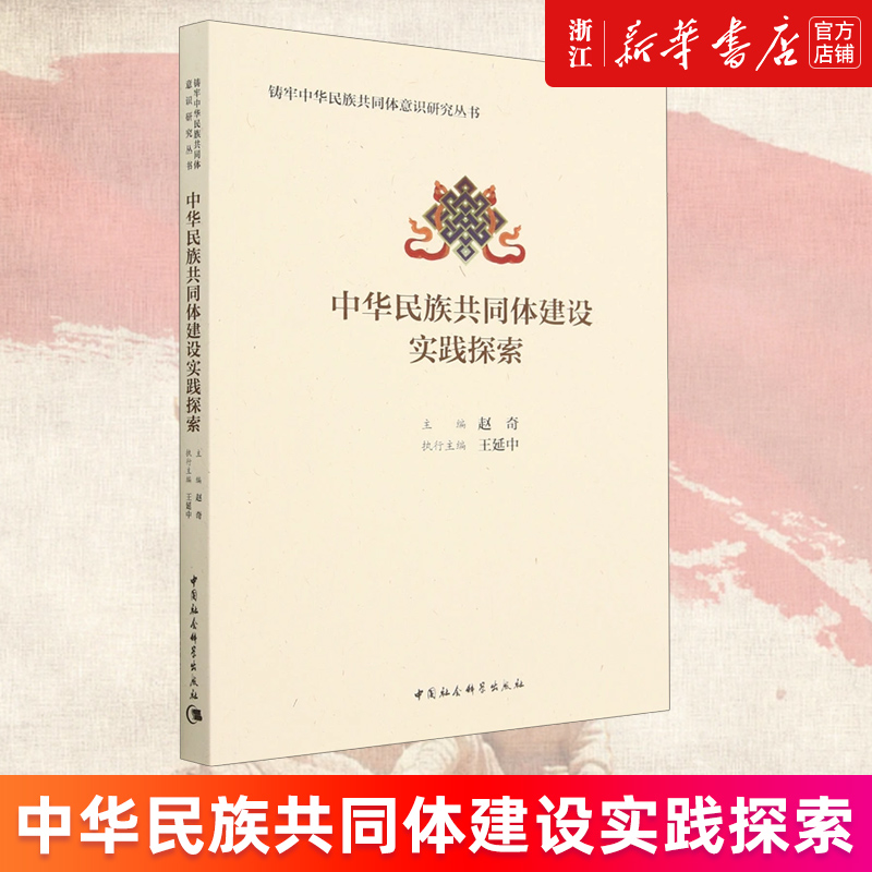 中华民族共同体建设实践探索