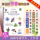 彩图典藏版 芳香植物基础知识和鉴别技巧科普读物 植物学书籍 社 300种芳香植物识别图鉴 云南省农业科学院花卉研究所 中国农业出版