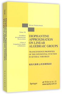 线性代数群上的丢番图逼近(英文版)