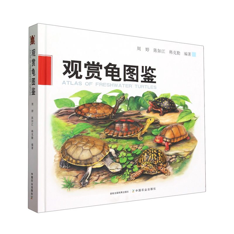 观赏龟图鉴