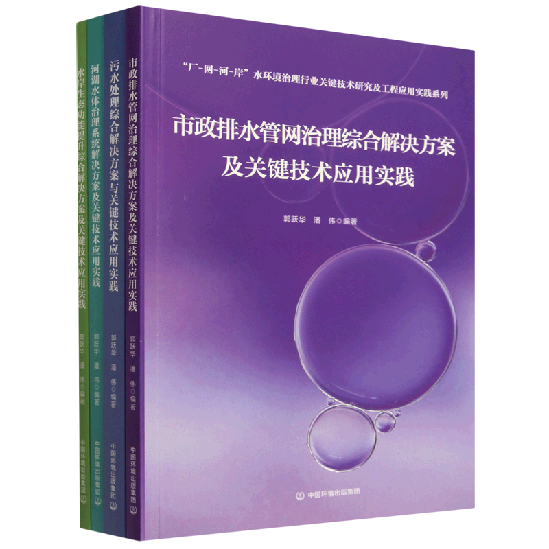 厂-网-河-岸水环境治理行业关键技术研究及工程应用实践系列(共4册)