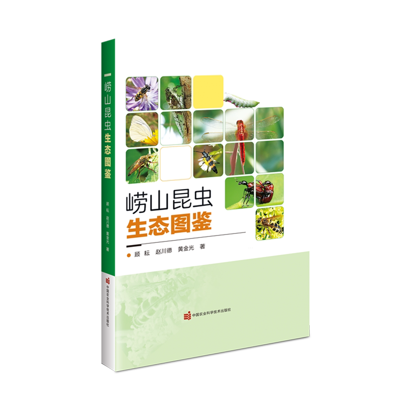 【新华书店旗舰店】崂山昆虫生态图鉴 成虫识别的形态特征 辨识崂山山系昆虫多样性的的基础性资料 生物多样性 正版书籍