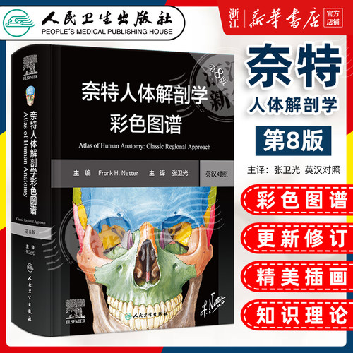 奈特人体解剖学图谱 第八版8人卫彩色局部影像系统格氏骨骼结构神经临床基础教材生理外科内科法医解刨解破医学类医学书籍解剖图谱