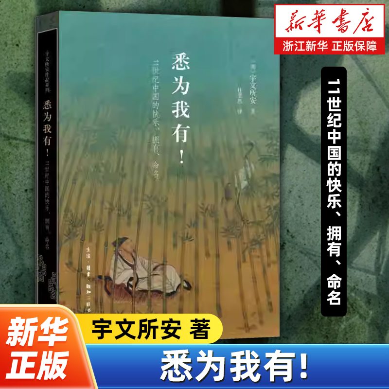 悉为我有!:11世纪中国的快乐、拥有、命名 宇文所安（Stephen Owen）著 宇文所安作品系列 生活·读书·新知三联书店