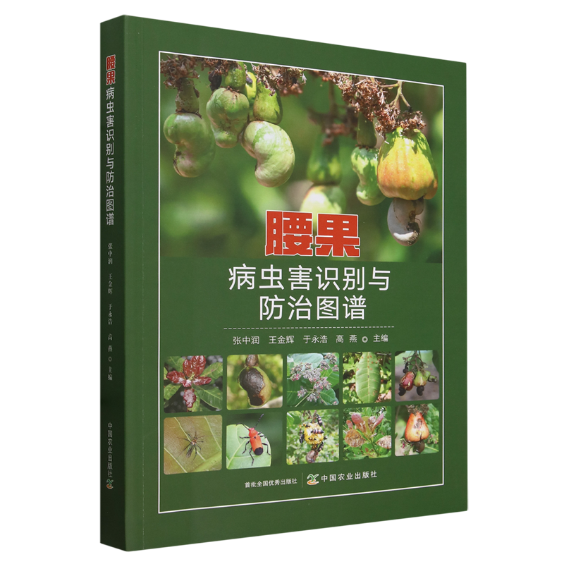 腰果病虫害识别与防治图谱