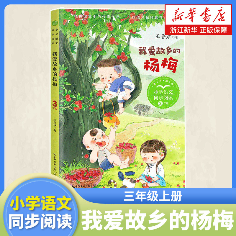 我爱故乡的杨梅 王鲁彦 著 三年级上册课外阅读书籍 小学语文同步阅读书系 课本里的名家名篇课文作家作品系列长江文艺出版社