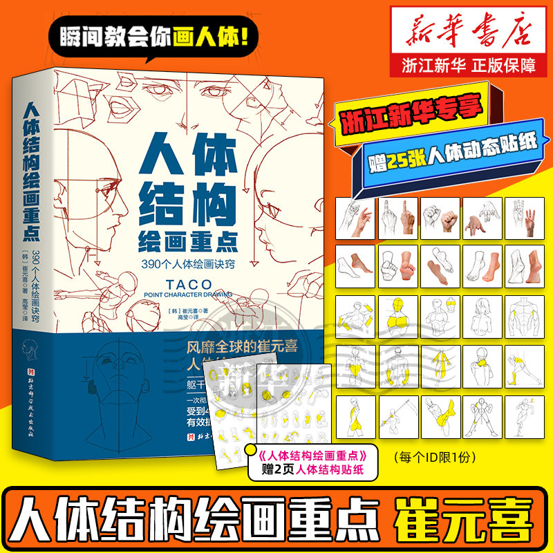 正版现货 人体结构绘画重点 人体结构 人体绘画 崔元喜 TACO人体 解剖 人体结构绘画教程 绘画技巧 绘画教程 北京科学技术