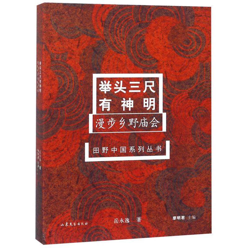 举头三尺有神明(漫步乡野庙会)/田野中国系列丛书
