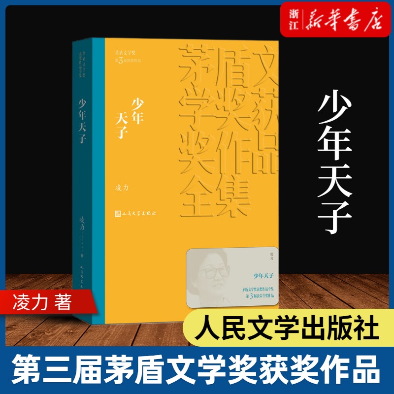 少年天子 凌力著 茅盾文学奖获奖作品全集课外阅读 书目 中国现代当代长篇小说经典文学文化哲学文学小说畅销书籍排行榜