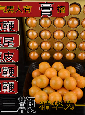 梅花鹿鹿鞭丸250克礼盒装集梅花鹿尾梅花鹿鹿皮驴鞭狗鞭精华男性