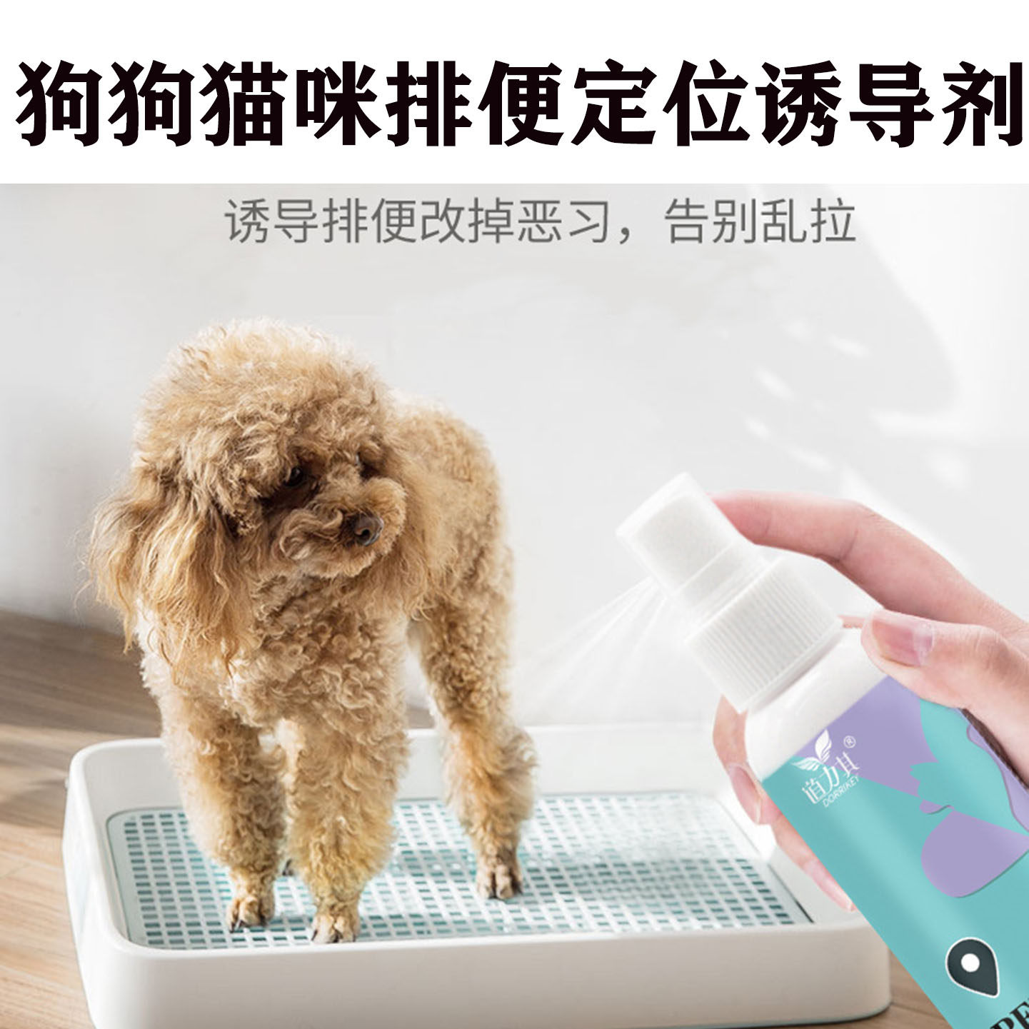 宠物厕所诱导剂猫咪狗狗用品大全