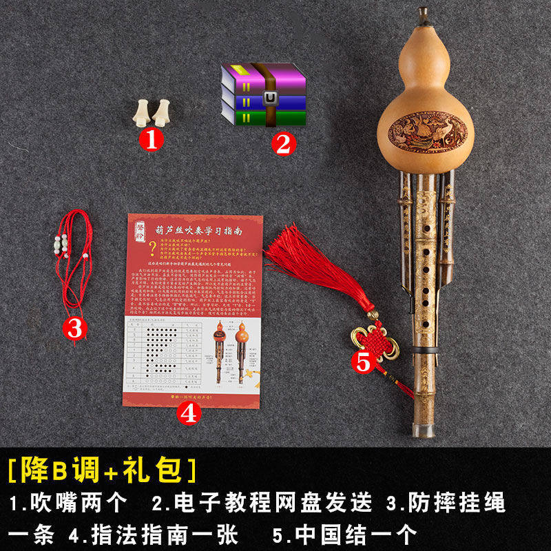 天然紫竹防摔双音葫芦丝学生初学C调成人演奏降b调自学胡芦丝乐器