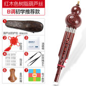 阿萨娜丝 民族葫芦丝乐器初学者儿童小学生演奏型胡芦 Asanasi