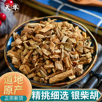 中药材野生四川四川银柴胡