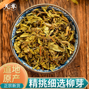 【地道无硫】柳芽野生正品新货中药材柳树芽 嫩柳芽柳芽茶